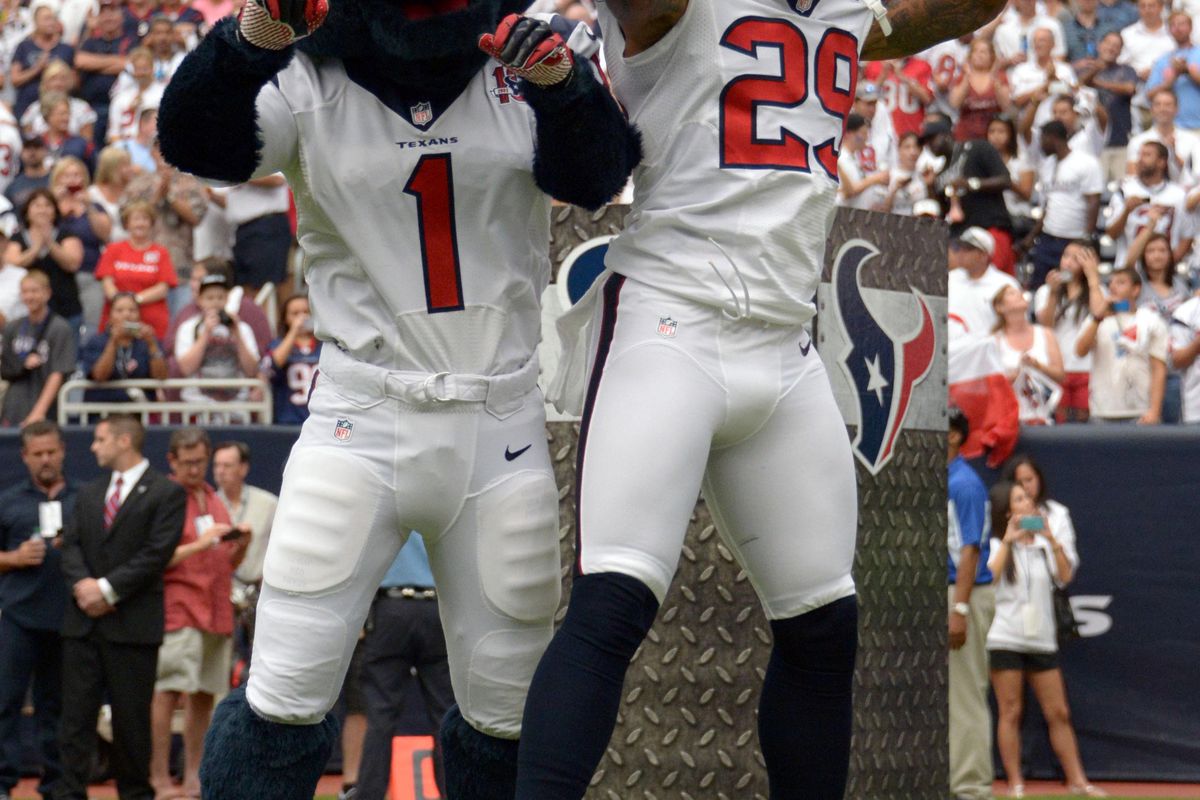 Sep 9, 2012; Houston, TX, USA; Houston Texans safety Glover Quin (29) chest bumps Texans mascot Toro before the game against the Miami Dolphins at Reliant Stadium.  Mandatory Credit: Kirby Lee/Image of Sport-US PRESSWIRE