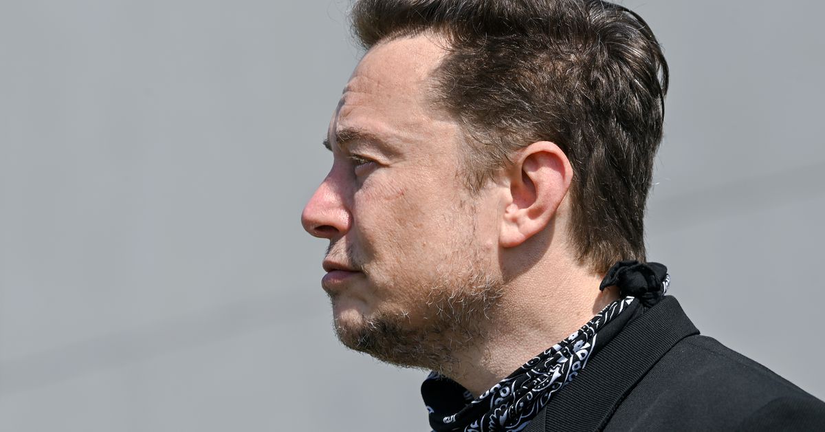 Elon Musk tells a judge the SEC’s ‘endless’ investigation is stifling his free speech – The Verge