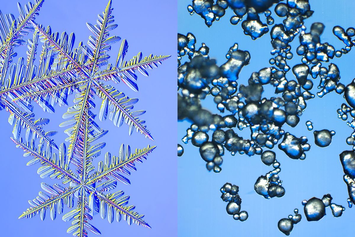 A diptych shows two kinds of snow next to each other. The natural snowflakes are perfectly symmetrical fractals, while the snow produced by a snow machine looks like a collection of round blobs.