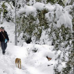 A couple walk their dog in Jerusalem, Friday, Feb. 20, 2015. A heavy winter storm descended on parts of the Middle East on Friday, with snow forcing the closure of all roads leading in and out of Jerusalem and sprinkling Israel's desert with a rare layer of white. 