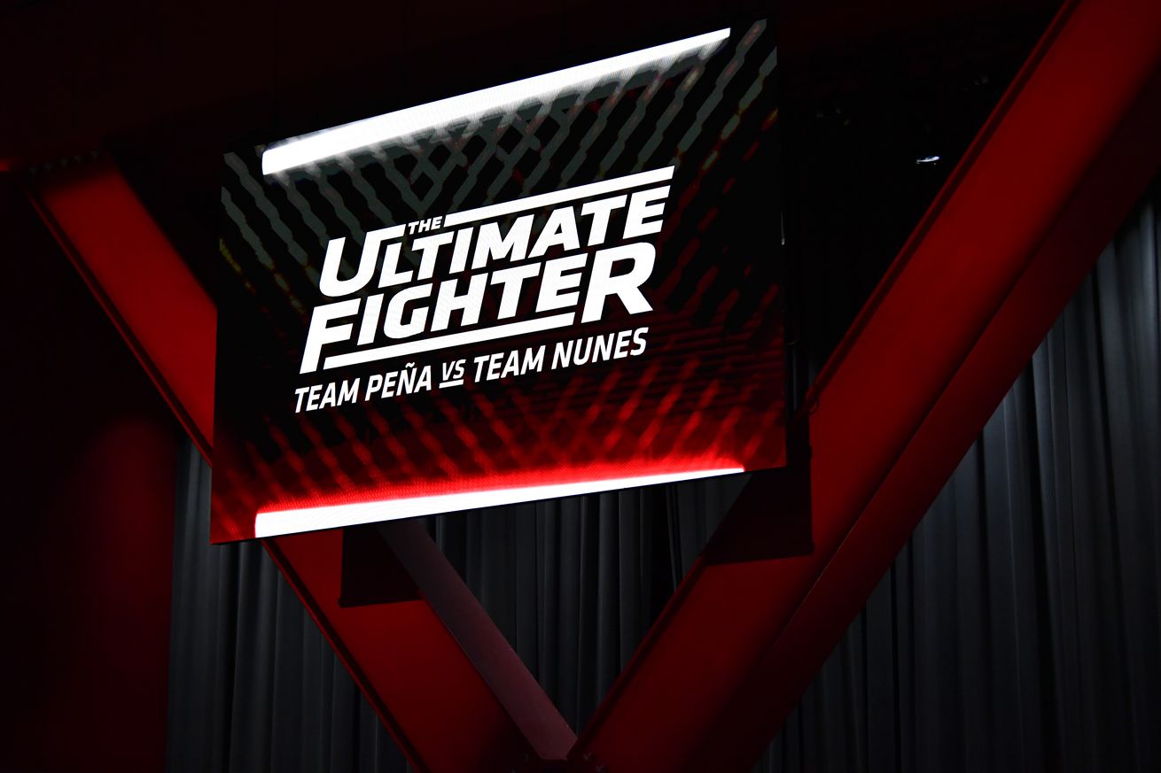 The Ultimate Fighter 30 results: Mohammed Usman vs. Mitchell Sipe