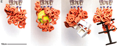Four photographs of a robot gripper made from rubber tentacles grabbing different shaped objects, including a tennis ball.