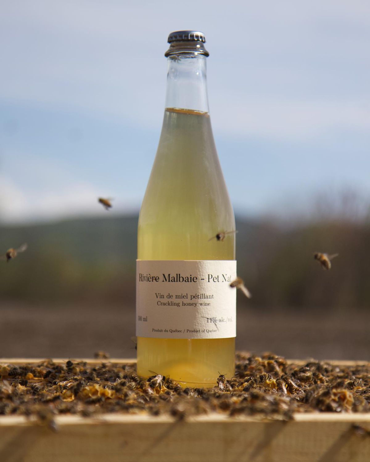 a bottle of lightly coloured alcohol on top of a beehive and surrounded by bees.
