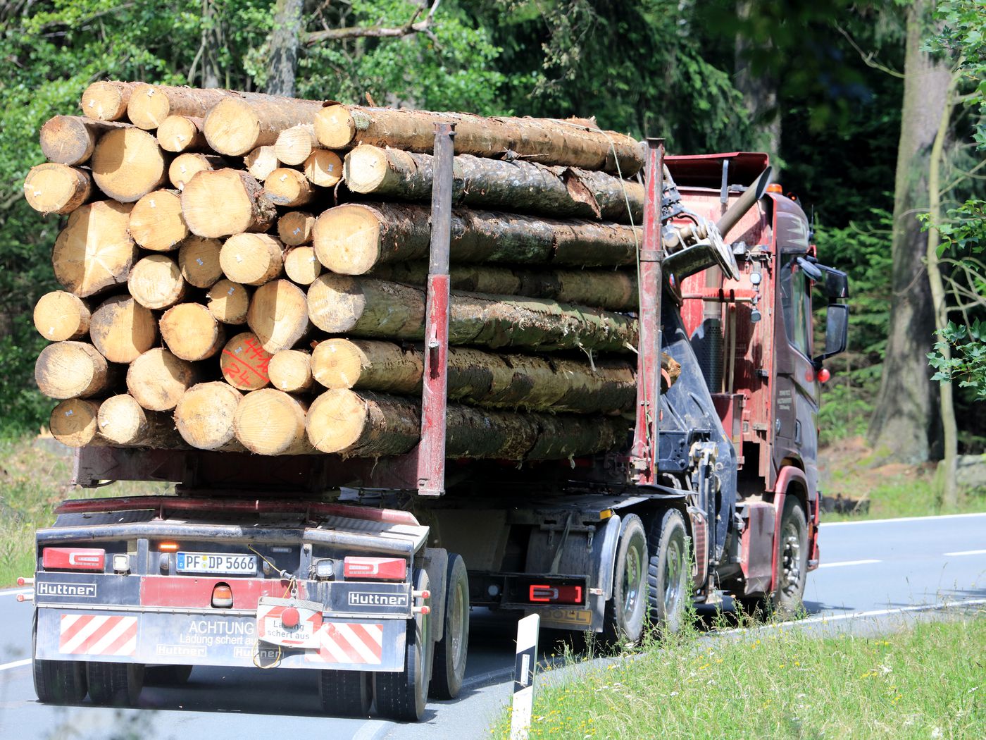 Why are lumber prices skyrocketing? The lumber shortage and housing boom,  explained. - Vox