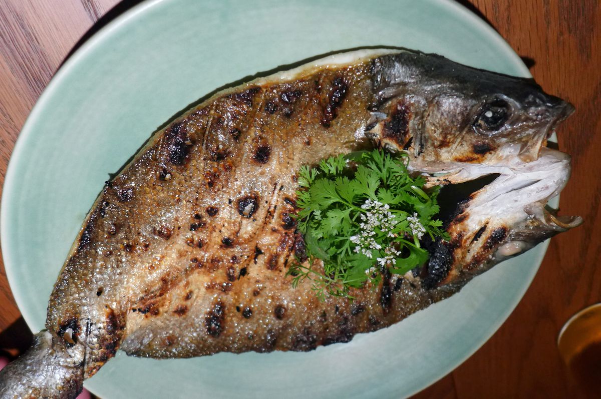 A whole fish including head and tail on a greenish blue plate.