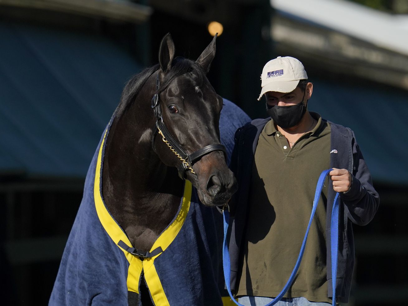Kentucky Derby winner Medina Spirit is walked to be groomed after a morning exercise at Pimlico Race Course ahead of the Preakness Stakes.
