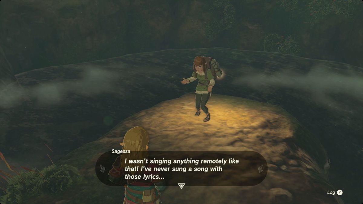The Legend of Zelda: Tears of the Kingdom Link speaking with Sagessa inside the Haran Lakefront Well.