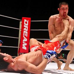 Dream: Fight for Japan Photos