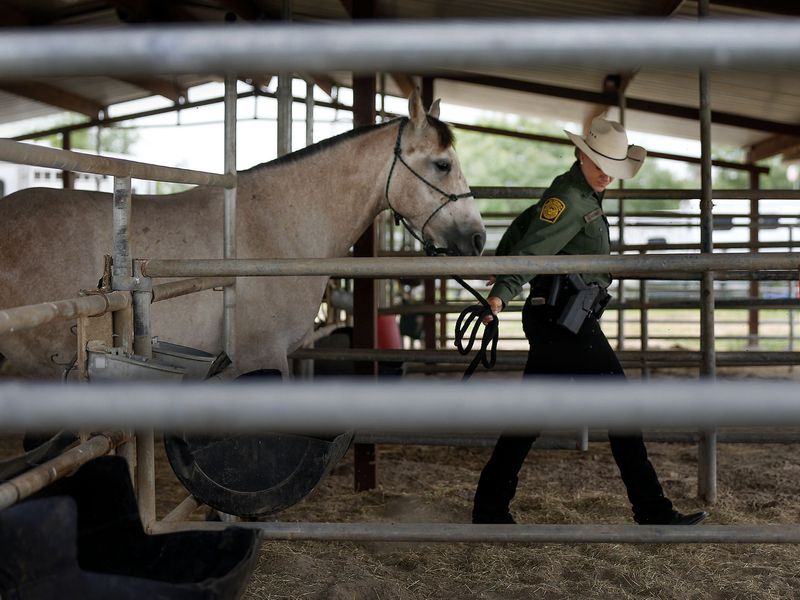 Border Patrol agent Justine Olsommer leads a horse into a corral at the Border Patrol’s Rio Grande Valley Sector Headquarters in Edinburg, Texas, on Tuesday, June 22, 2021.
