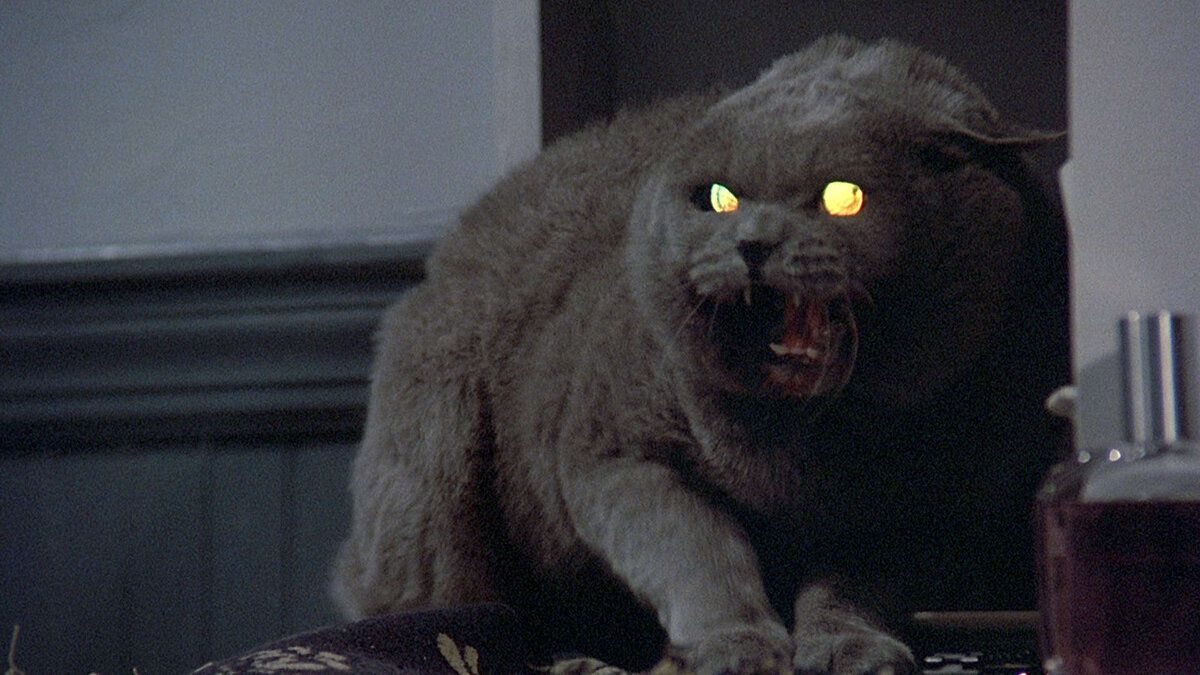 FREE HORROR pet_sematary The best Stephen King adaptations and where to watch them 