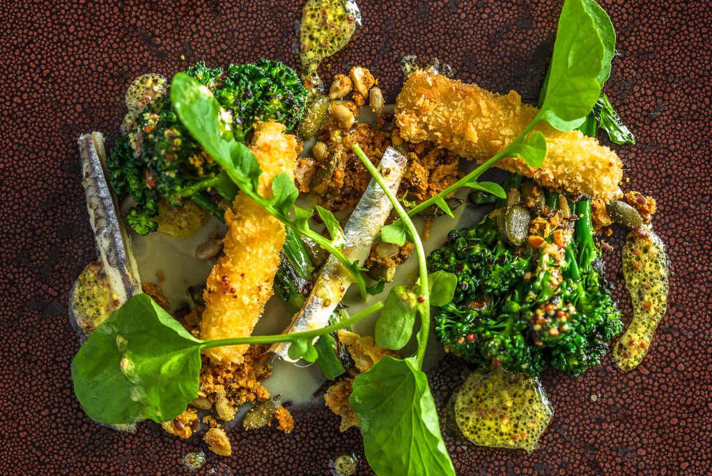From above, a dish of broccoli, sardines, and fried crispies on a textured background