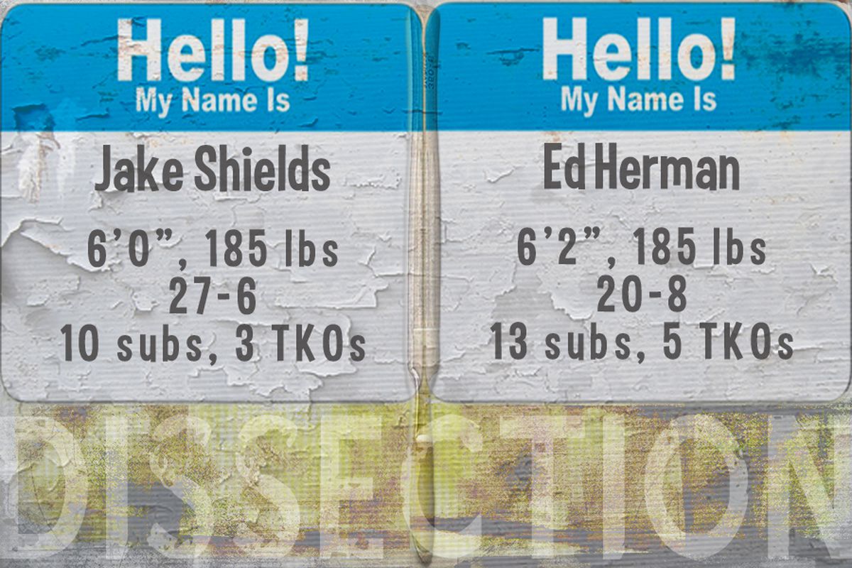 Shields x Herman