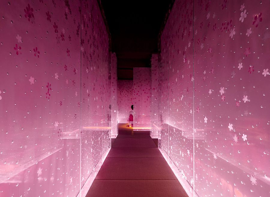 Translucent pink walls decorated with a sakura pattern in a sushi restaurant.