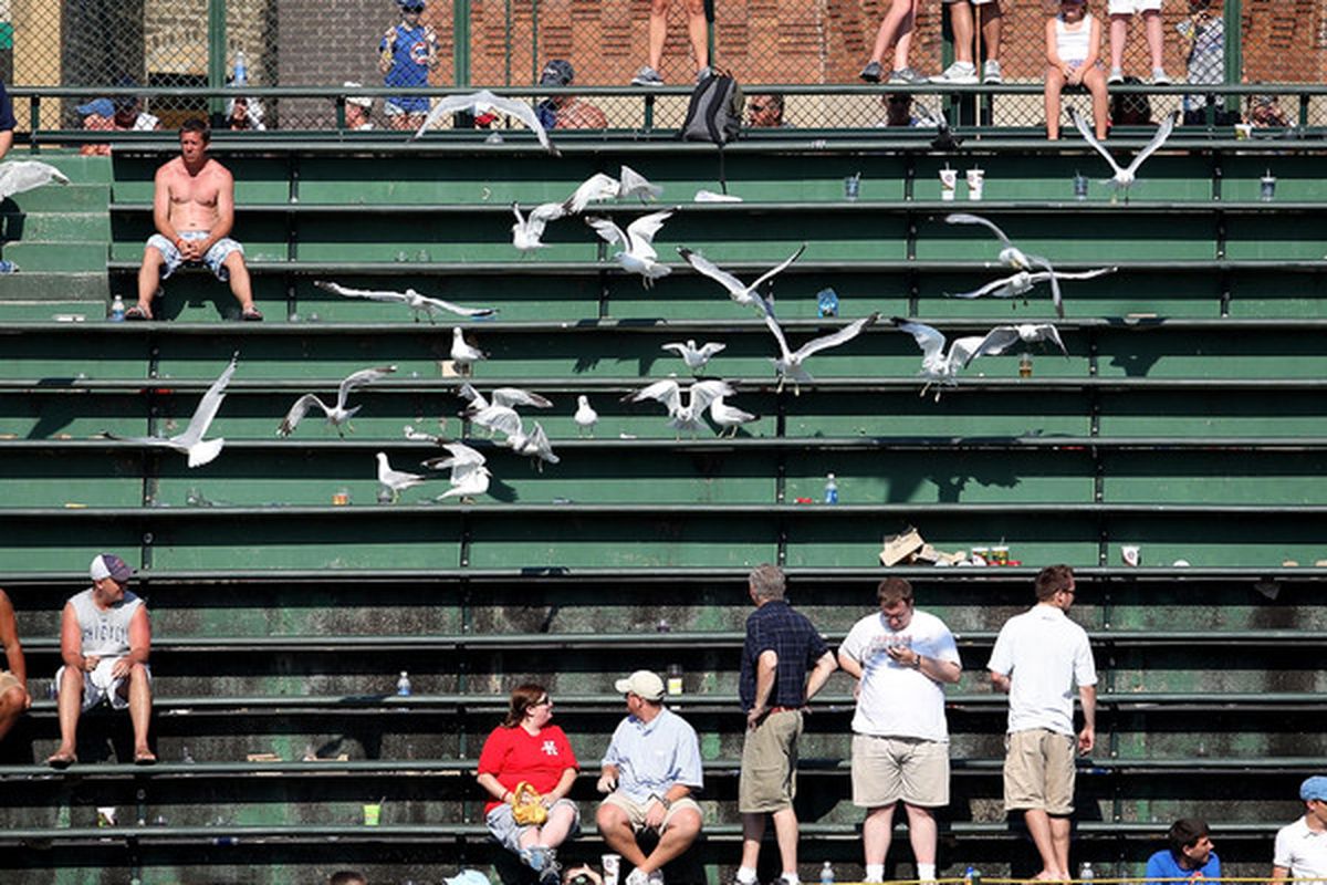 Gulls invade the bleachers in right field during the 11th inning of a game between the Chicago Cubs and the Houston Astros at Wrigley Field in Chicago Illinois. The Astros defeated the Cubs 4-3 in 12 innings. (Photo by Jonathan Daniel/Getty Images)