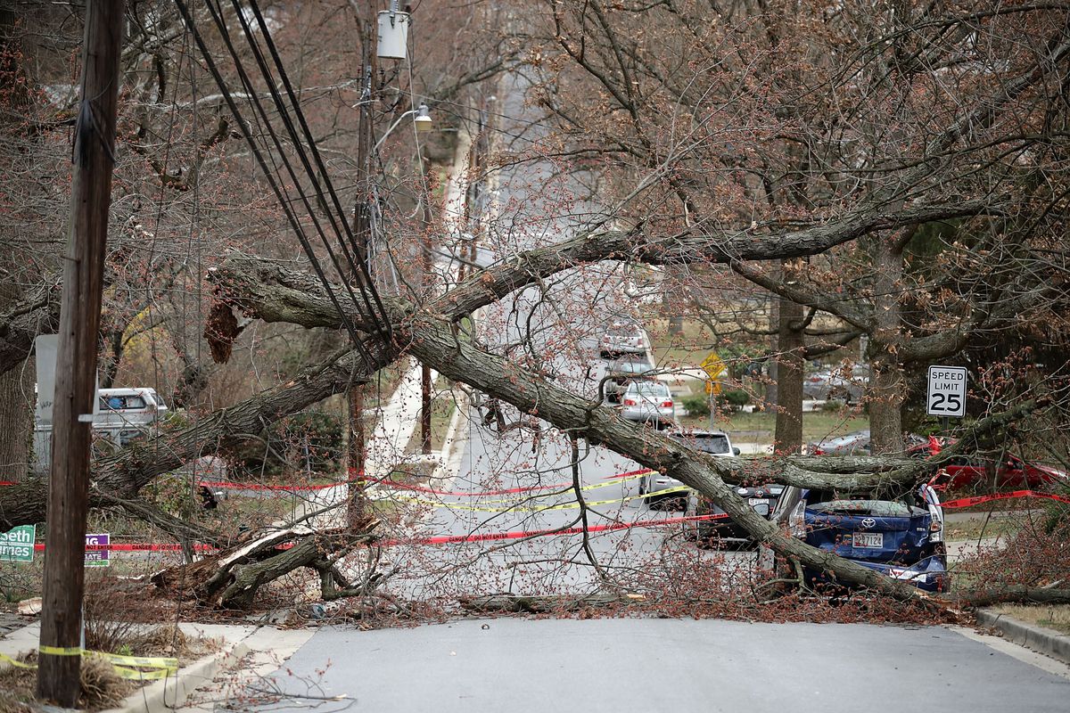 Powerful Winter Storm Brings High Winds To DC Area