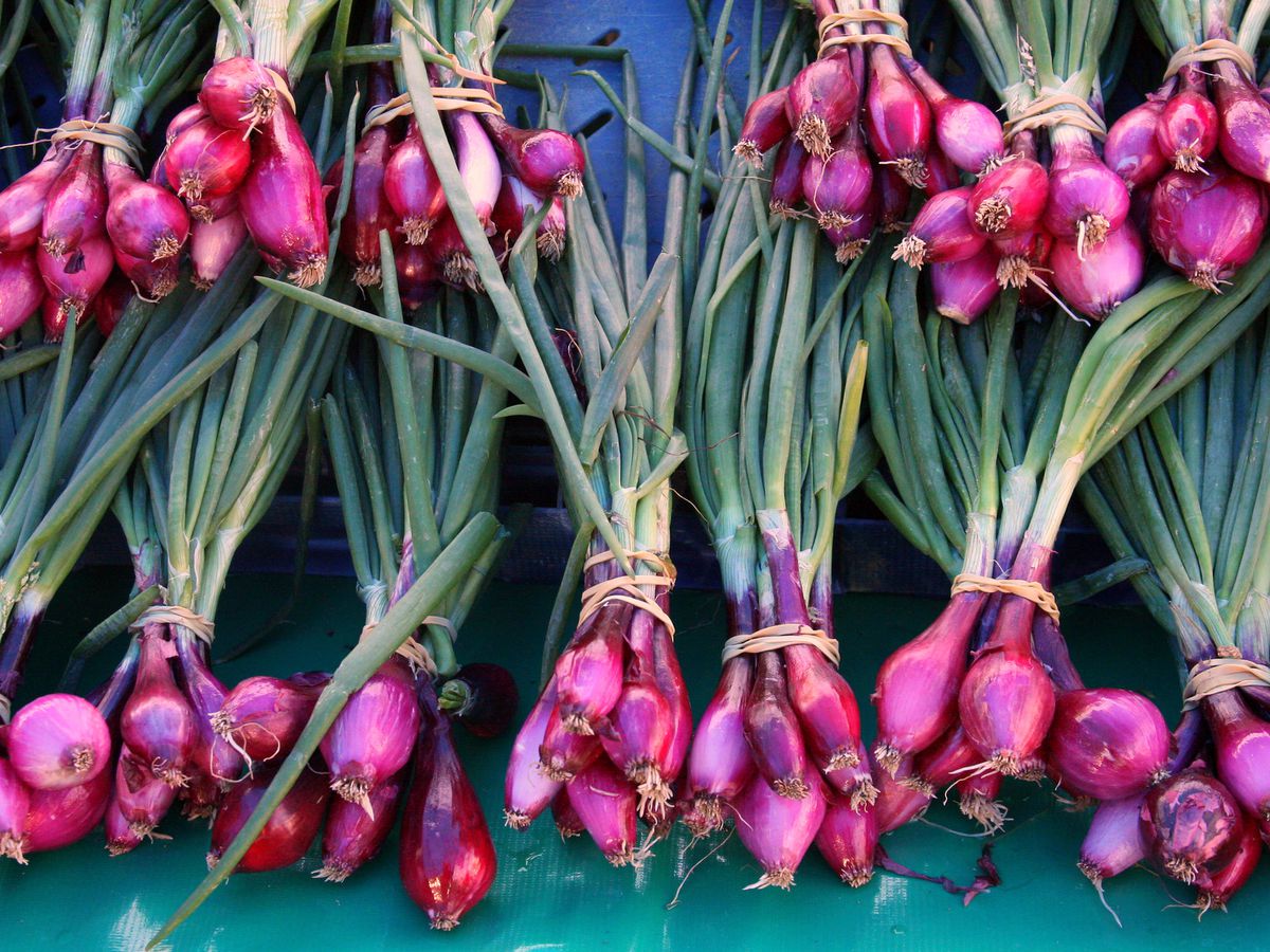 Piles of spring onions sit out for sale at a stand at the Hollywood Farmers Market in Los Angeles.