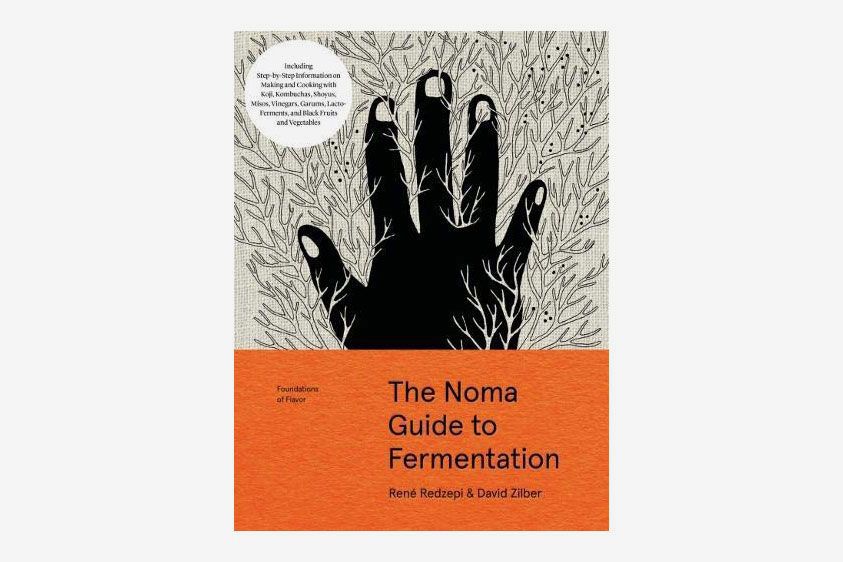 A book titled The Noma Guide to Fermentation