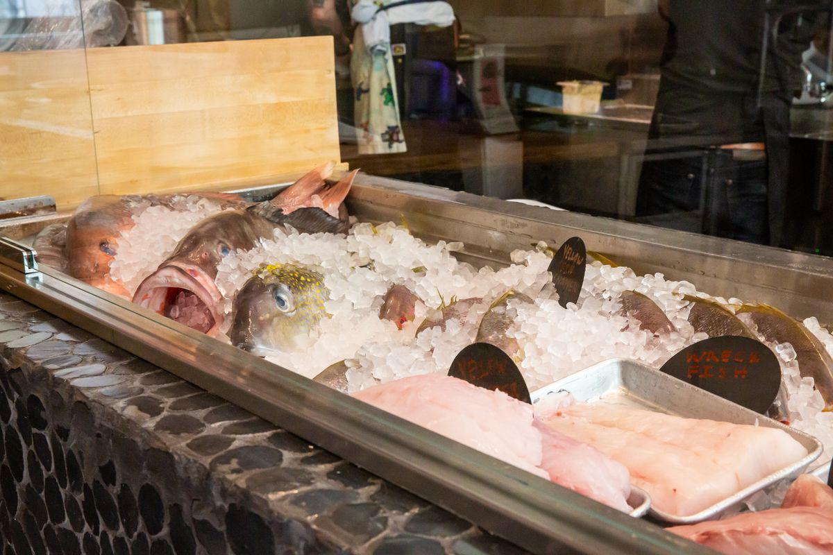 Whole fresh-caught fish for sale chill on ice at the counter at Fishmonger in Poncey-Highland Atlanta