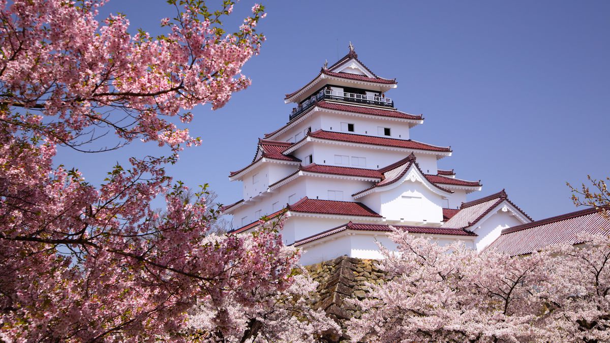 A tiered castle framed by cherry blossoms. 