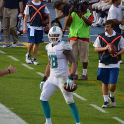 Dec. 15, 2013 Miami Gardens, FL - Miami Dolphins wide receiver Rishard Matthews (18) celebrates a toe-tapping catch along the side line in the fourth quarter of the team's game against the New England Patriots.