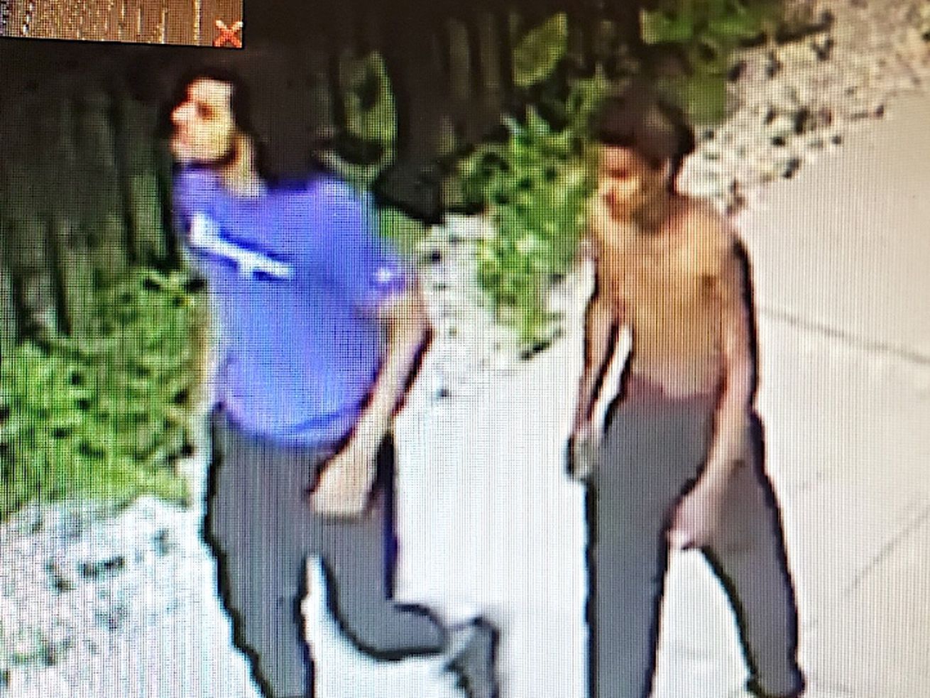 Police say these two men are wanted for attempting to rob a woman in Old Town on July 24, 2019. 