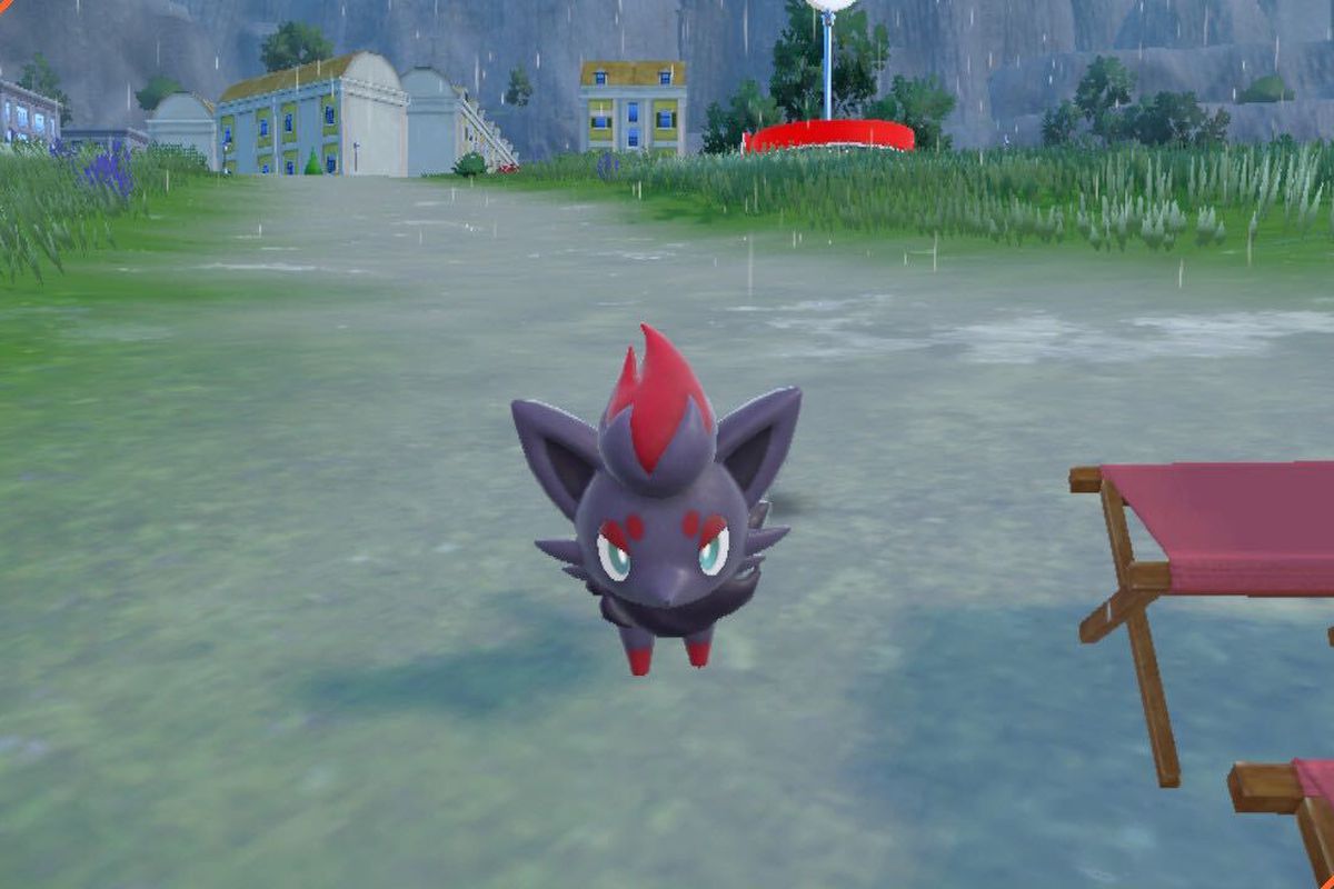 An image of a Zorua looking directly at it in Pokémon Scarlet and Violet.