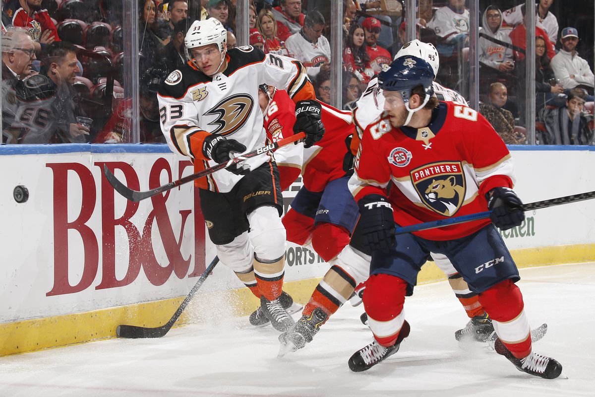 NHL: NOV 28 Ducks at Panthers