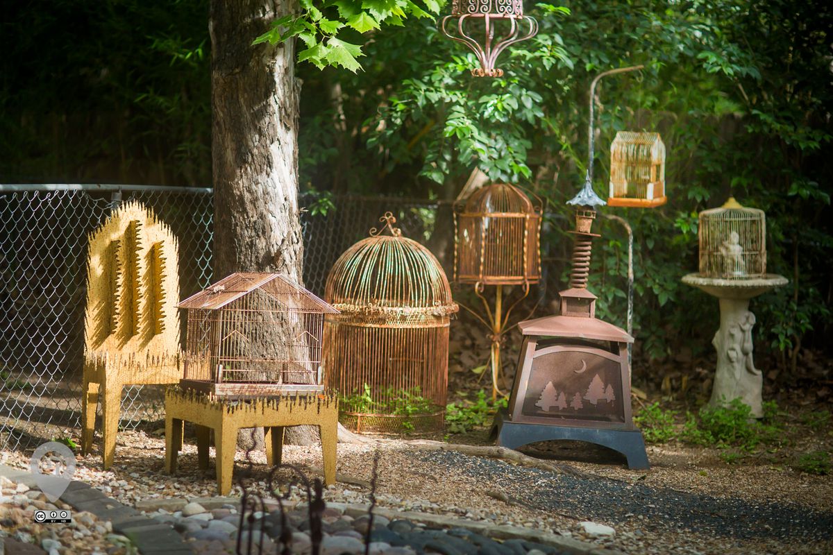 A verdant yard with several large, antique, and interesting bird cages placed artfully in it