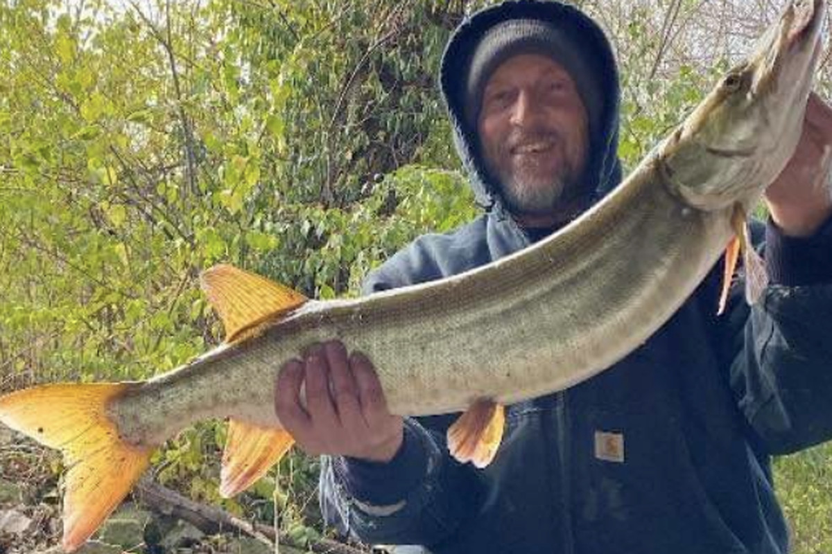 Jim DeGrane with a holiday muskie from Lake Shelbyville. Provided photo
