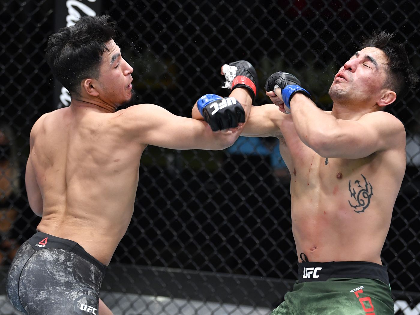 UFC Vegas 22 video: Adrian Yanez faceplants Gustavo Lopez with brutal  punch, asks for hometown fight at UFC 262 - MMA Fighting