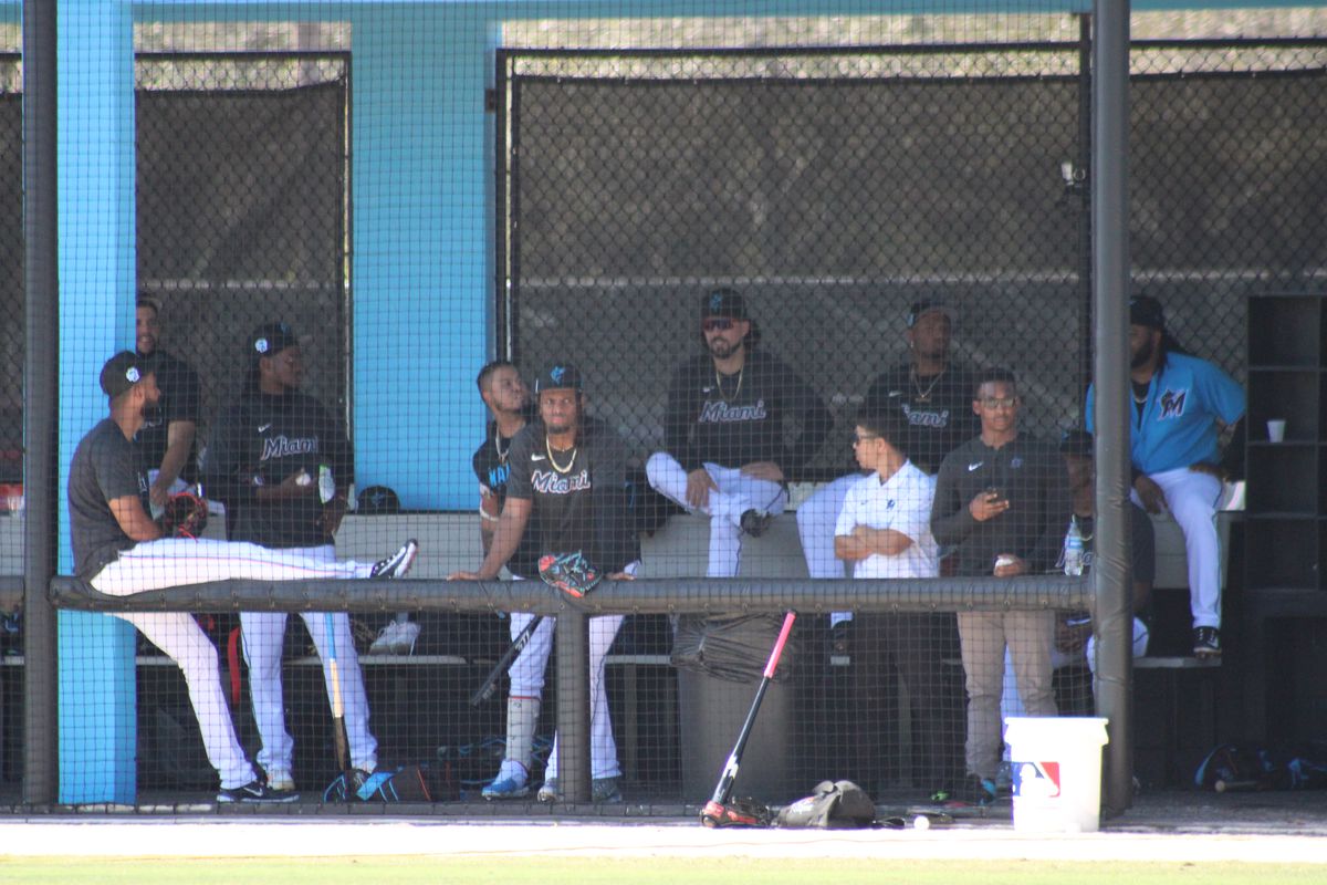 Marlins pitchers look on as Eury Perez throws Live BP in Jupiter, FL