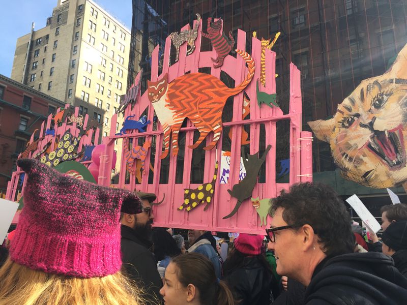 Marchers carry “pussygates” at the Women’s March in New York City on January 20, 2018