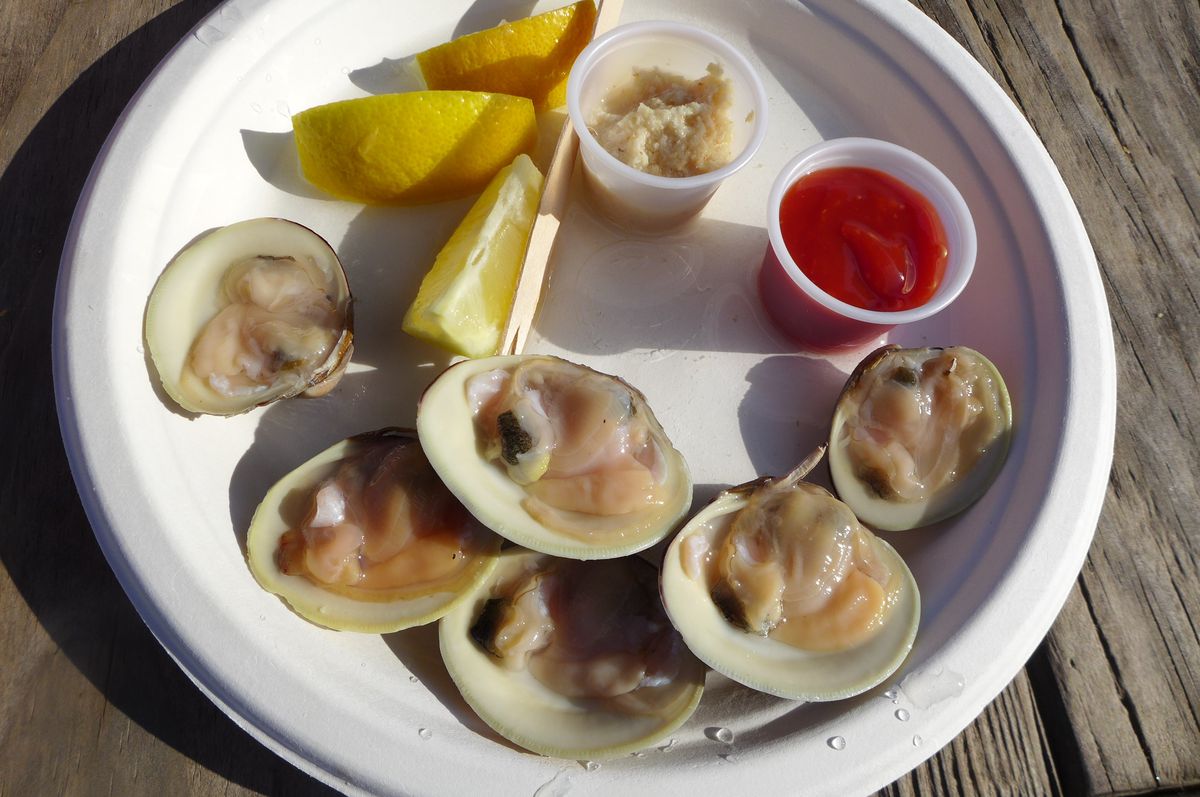 A plate of six clams on the half shell with ketchup, horseradish, and lemon wedges.