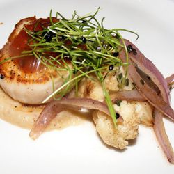 <br />Diver scallops at North End Grill by <a href="http://www.flickr.com/photos/37619222@N04/6778551081/in/pool-29939462@N00/">The Food Doc</a>.