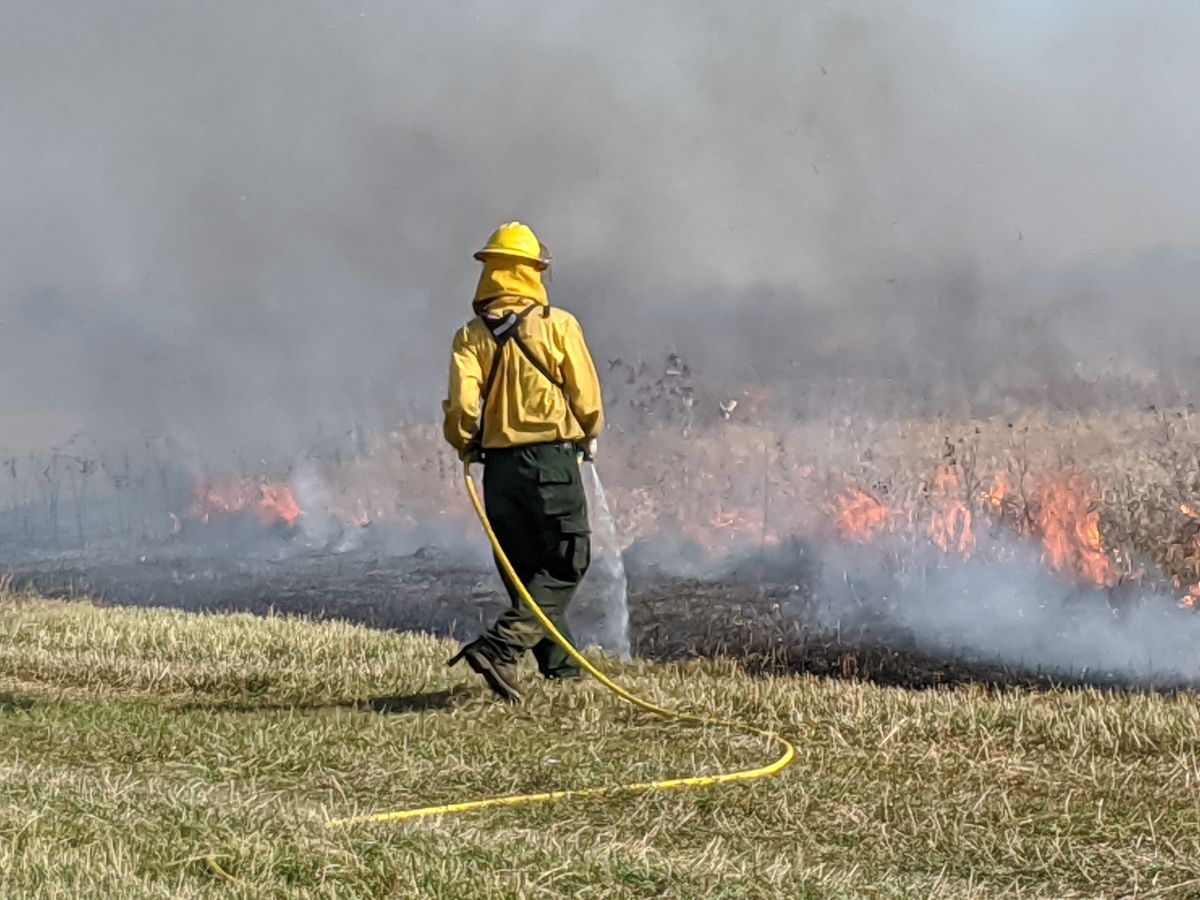 Mickey Cardenas wets the edges of a prescribed burn in early November at Nachusa Grasslands. Credit: Dale Bowman