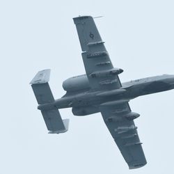 An A-10 Warthog makes a pass Saturday at the Air & Water Show. | Colin Boyle/Sun-Times
