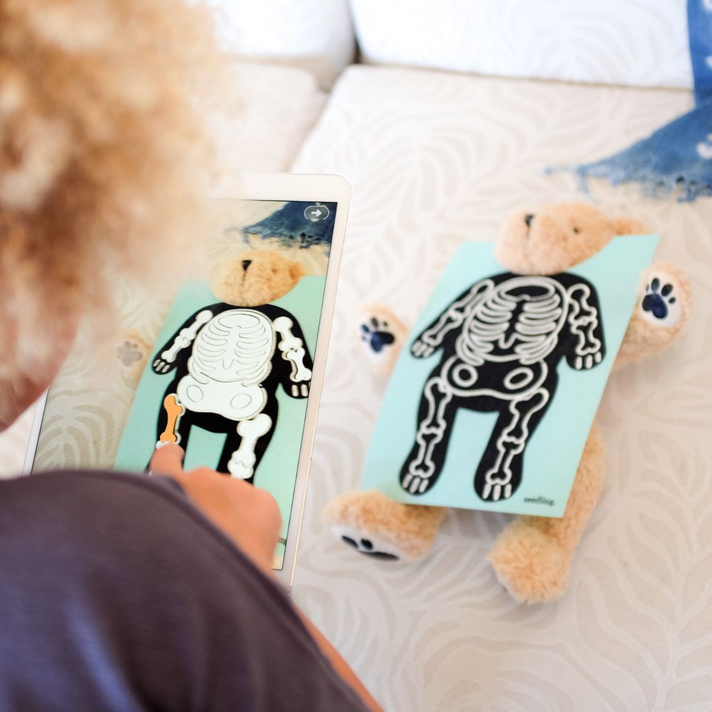 Parker Your Augmented Reality Bear by Seedling Care   Play 17TBEAR 