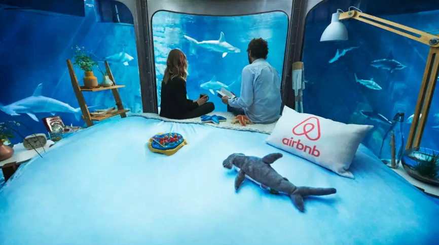 The Shark Aquarium on AirBnB