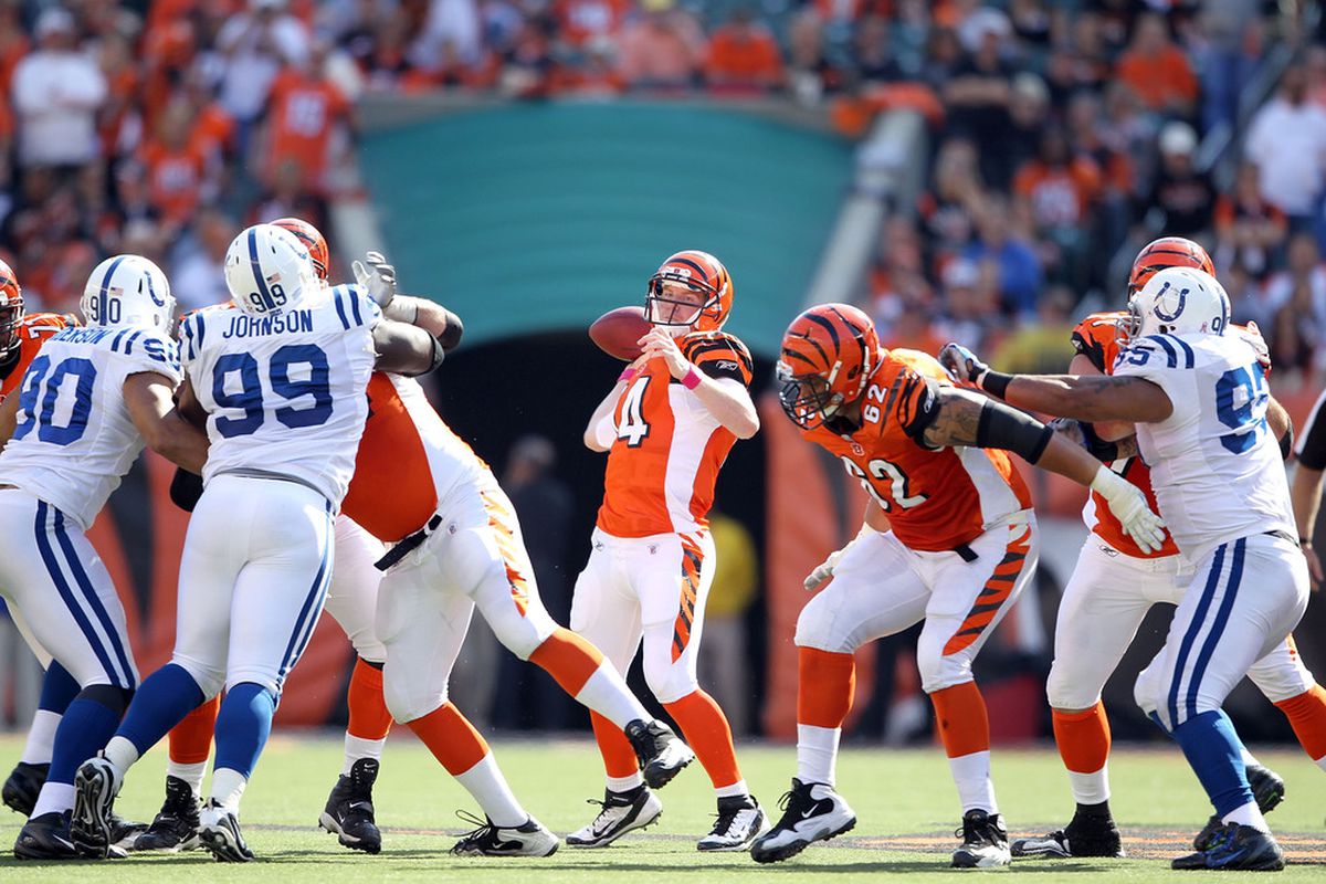 CINCINNATI, OH - OCTOBER 16:  of the Indianapolis Colts during the NFL game against the Cincinnati Bengals at Paul Brown Stadium on October 16, 2011 in Cincinnati, Ohio.  (Photo by Andy Lyons/Getty Images)