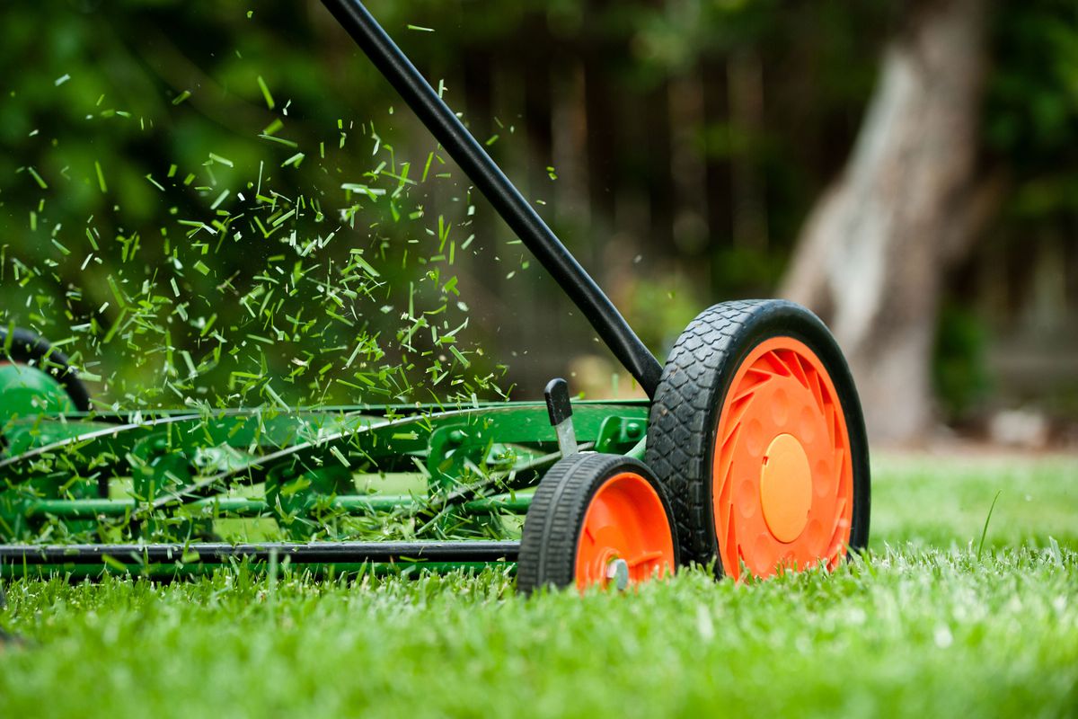 Close up of a push mower with grass flying. 