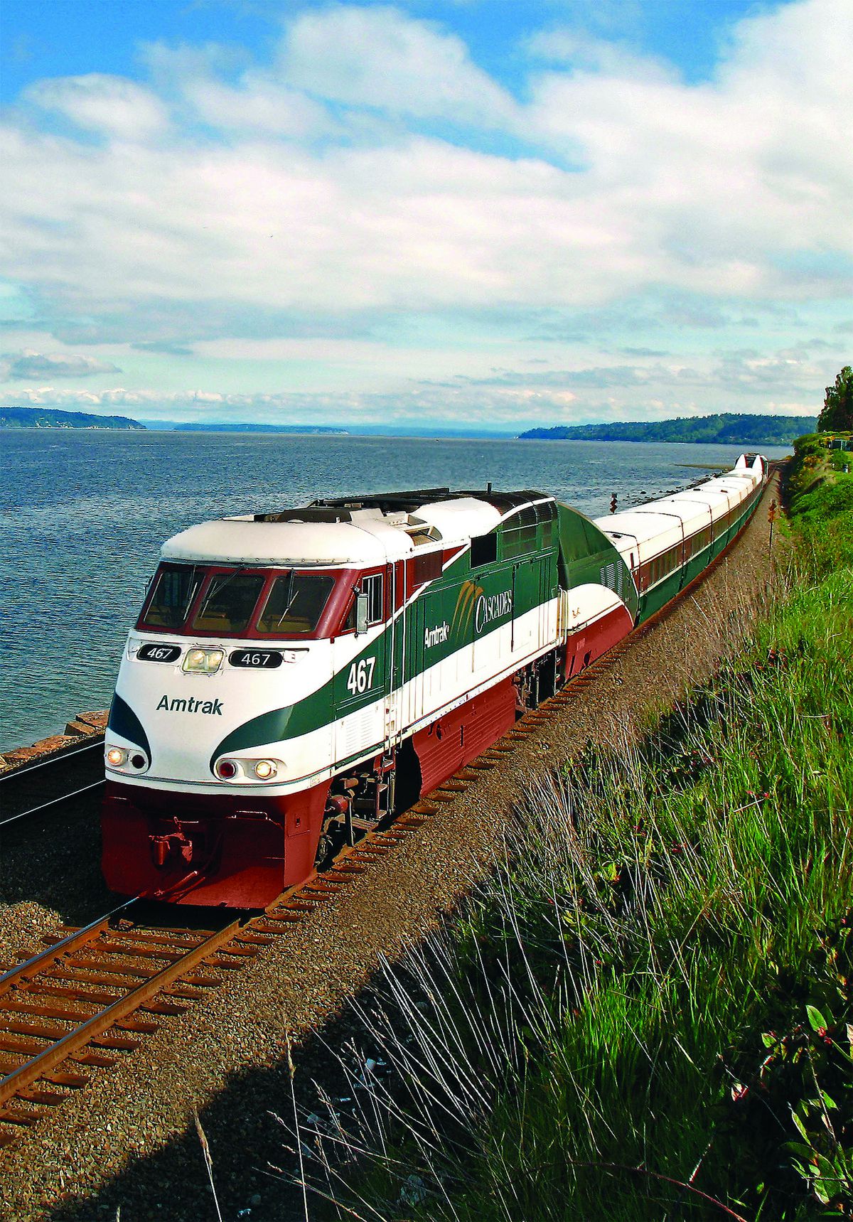 A train rides along a track which is adjacent to a body of water. The train is white, green, and red. There is tall grass on the other side of the track.