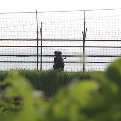 South Korean army soldiers patrol along the barbed-wire fence in South Korea's Paju, near the border with North Korea, Monday, Aug. 7, 2017. North Korea vowed Monday to bolster its nuclear arsenal and launch "thousands-fold" revenge against the United States in response to tough U.N. sanctions imposed after its recent intercontinental ballistic missile launches. (AP Photo/Ahn Young-joon)
