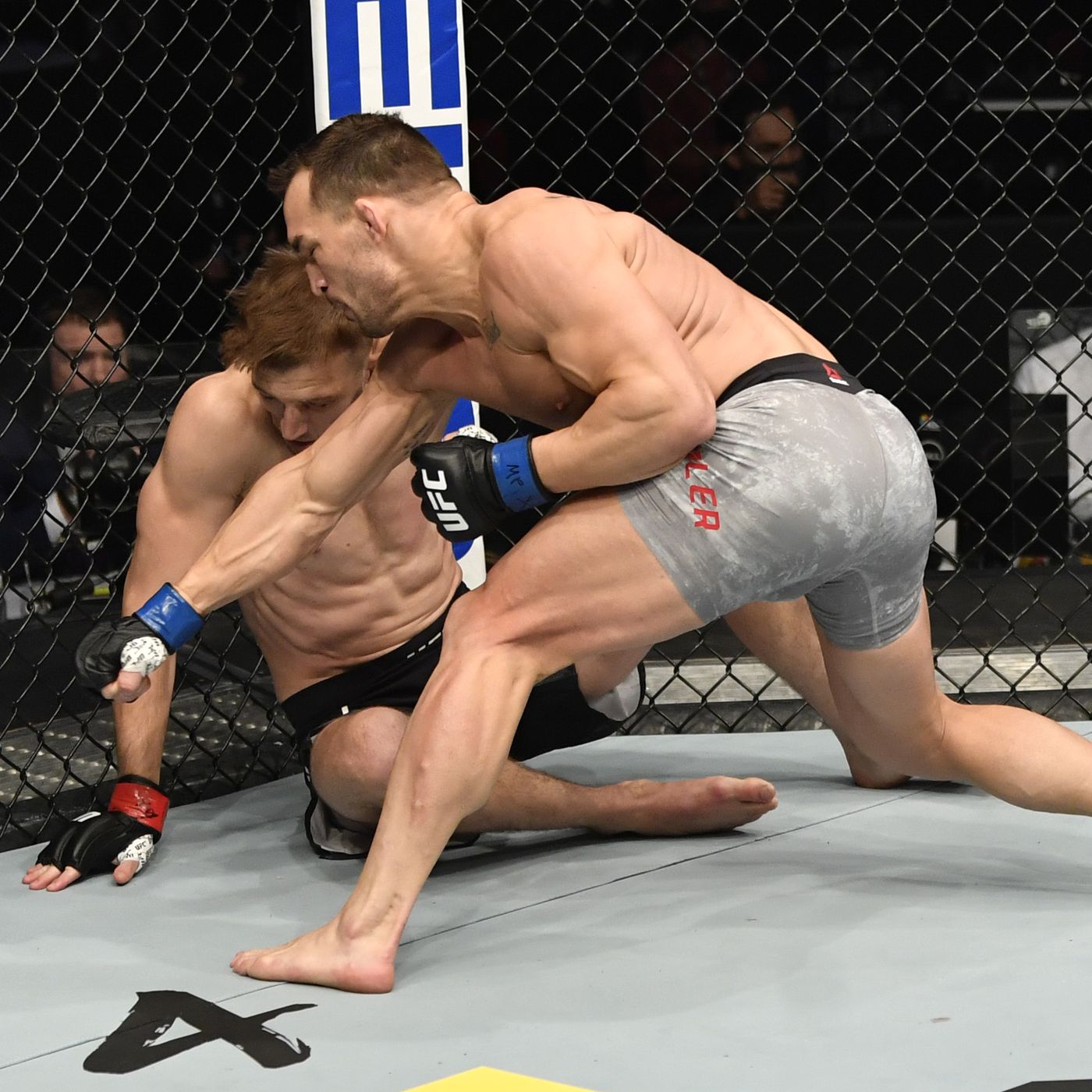 UFC 257 results: Michael Chandler demolishes Dan Hooker in first round,  declares himself the new lightweight king - MMA Fighting