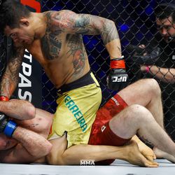 Diego Ferreira looks to end the fight at UFC 231.