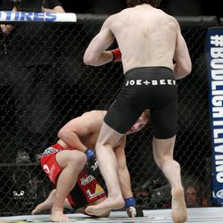 UFC 186 photos