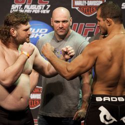 Roy Nelson at UFC 117