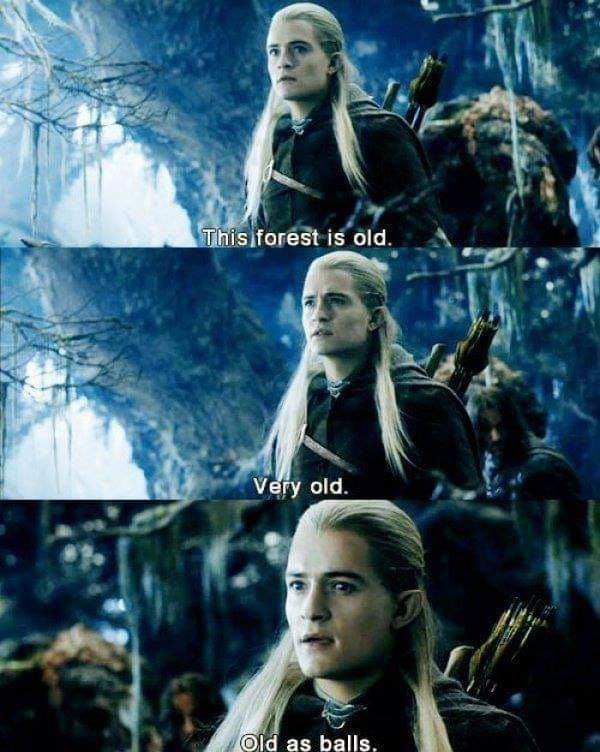 Screencaps of Legolas in Fangorn forest, incorrectly captioned so that he says “This forest is old. Very old. Old as balls.”