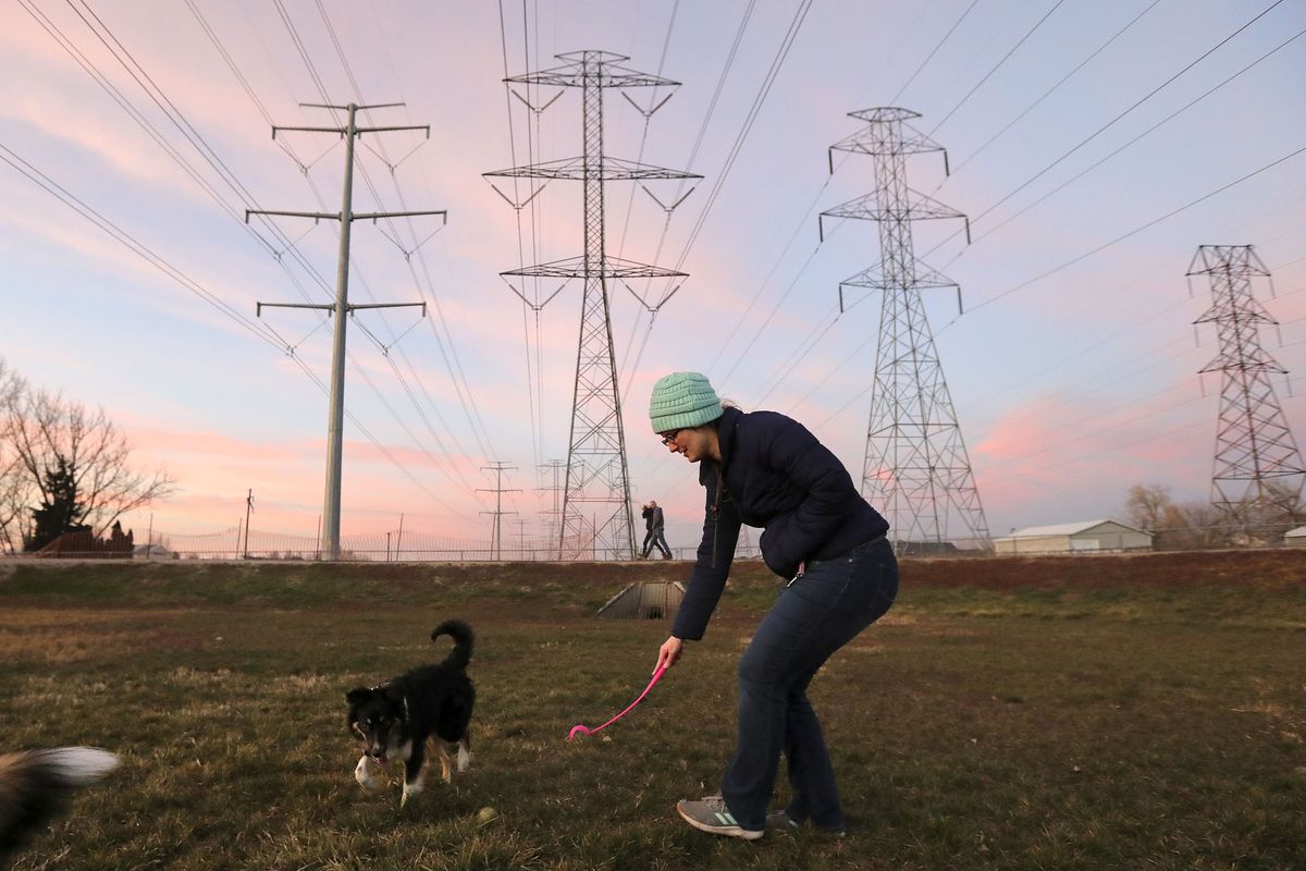 Amanda Barley throws a ball for her dog Callie under power lines at the Roy Dog Park in Roy on Tuesday, Nov. 30, 2021.