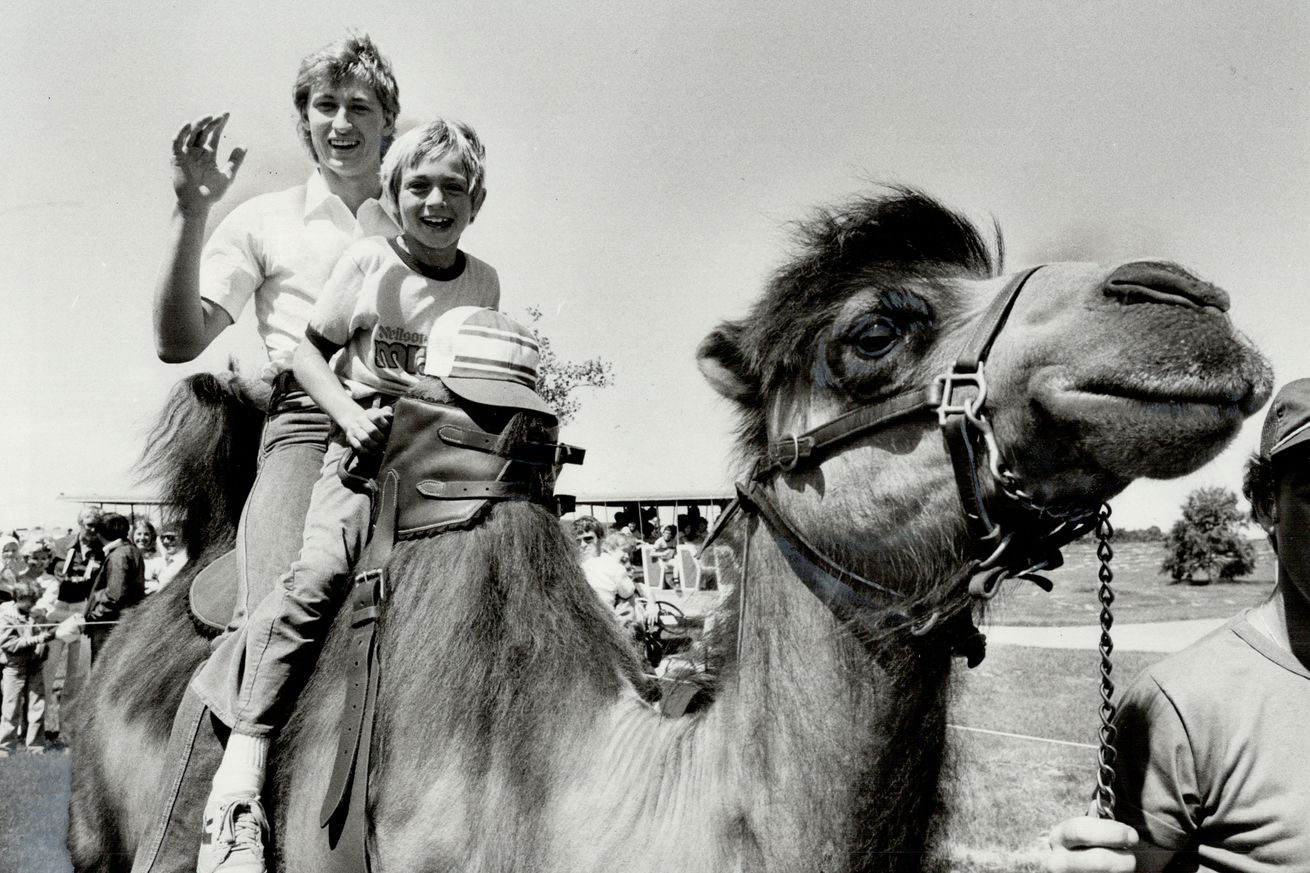 Star on a hump: The great Wayne Gretzky and his brother Brent; got taken for a ride yesterday - by C