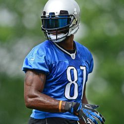 Detroit Lions wide receiver Calvin Johnson (81) during minicamp at Lions training facility.